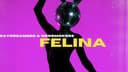 Daydreamers & Nonsmokers – Felina
